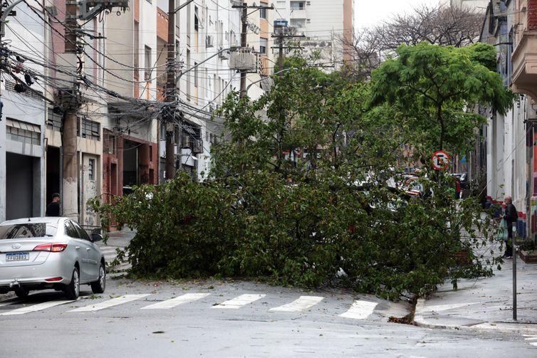 Prefeitura fecha todos os parques de São Paulo por causa dos ventos